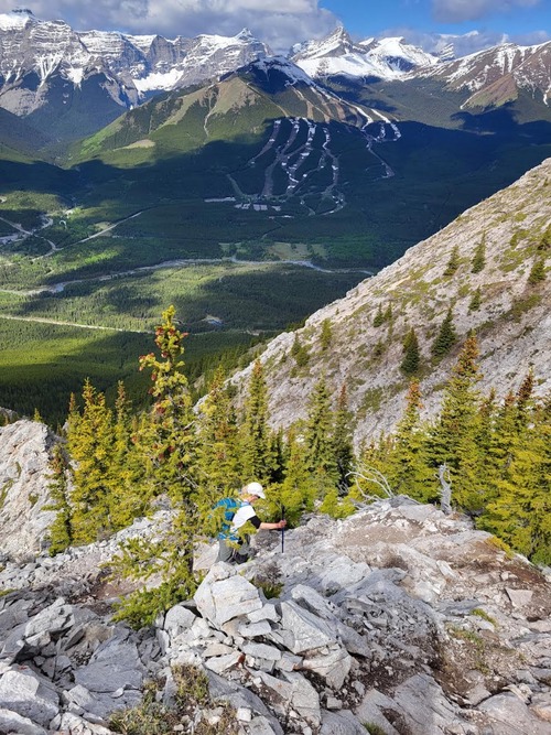 What's better than mountain scenery on a beautiful day