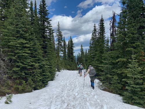 Mostly supportive deep snow