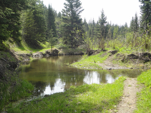 Major flood af ATV trail by Camp Creek near junction #3. Bob Creek Wildland