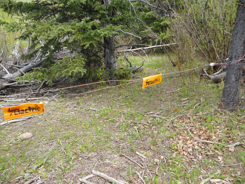 Electric fence for cattle control 1.5km west of junction #7 in Camp Creek area of Bob Creek Wildland. 