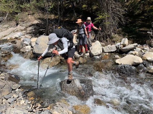 The trail crosses the creek several times