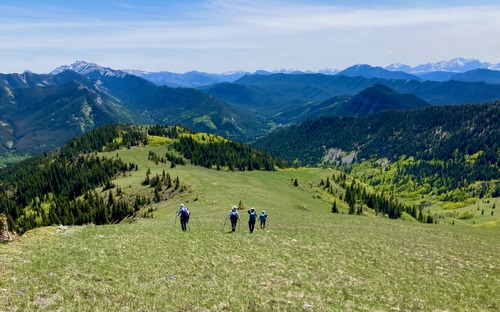 Descending Boundary Pine Ridge