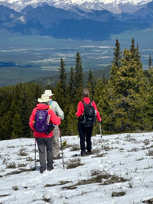 Contemplating descending the snowy ridge