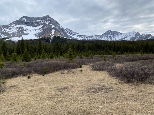 Campground is hidden in the trees ahead; Elk Lake is in the bowl on the right