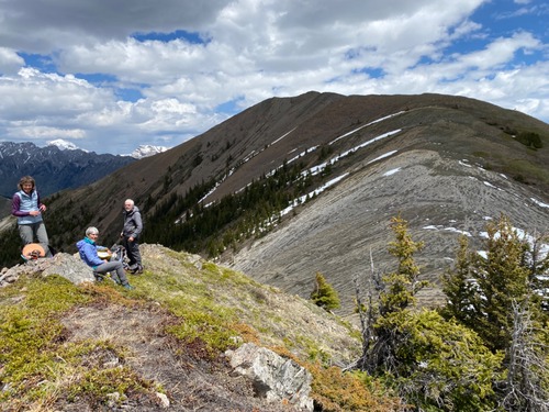 Ramblers at left, bighorn sheep at far upper right horizon 