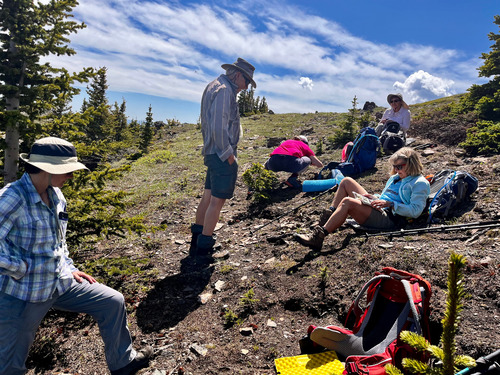 Barb reads the flower book during lunch at the summit