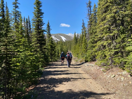 The long road with hill 651038 ahead