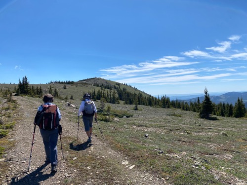 Wonderful open walking up to the lookout