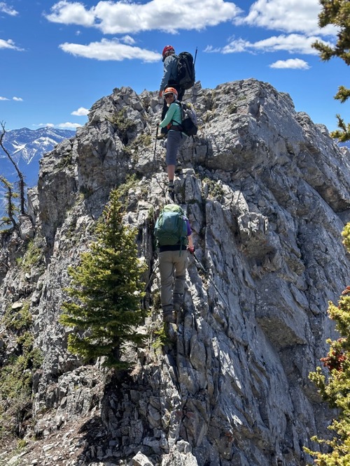 Alda pausing to smile for the camera