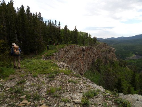 Last section before descending steeply to Gorge Creek Rd