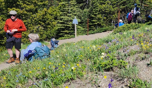 Snack break amongst flowers at junction with trail to Cox Hill