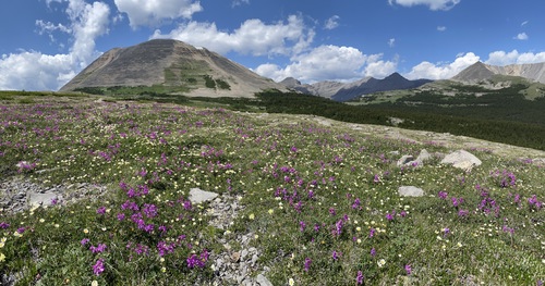 Our mountain objectives for tomorrow: Bolton at left and Armstrong far right