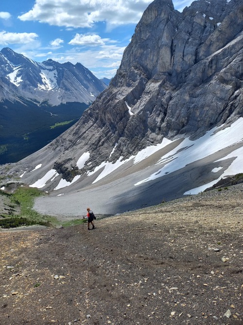 A fast descent on good scree