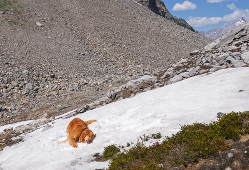 Aaahh! No other takers for snow angels?