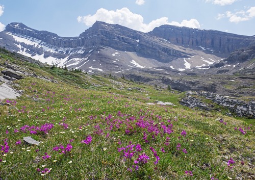 On the way after lunch to the distant cascade, and the ascent alongside it to the basin holding the upper tarns. 