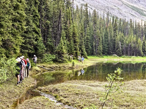 Working our way around the edge of the lower tarn in James Walker Creek