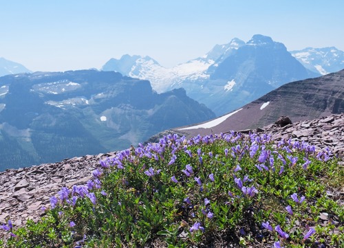 Impressive peaks to the south in Glacier N.P.