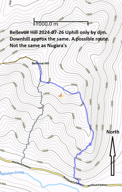 Map of route (in blue) taken up Bellevue Hill. In 2024, we descended approx the same way. Nugara's route is more to the east. 
