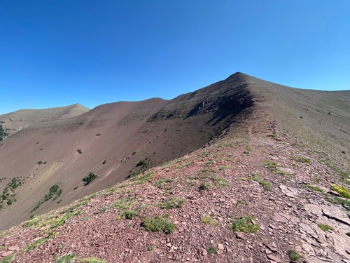 Mt Newman is an easy ascent 