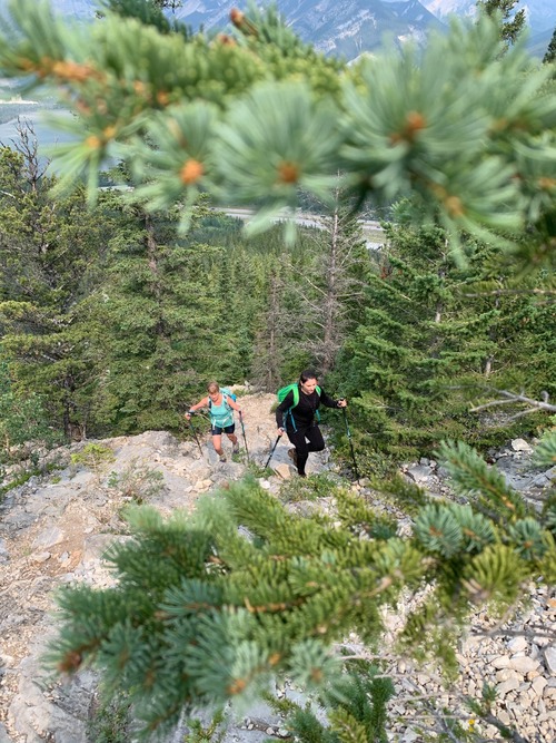 Ramblers breaking out of the trees to start the fun part.