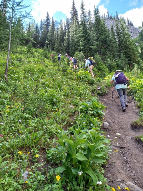 The steep trail to the upper valley 