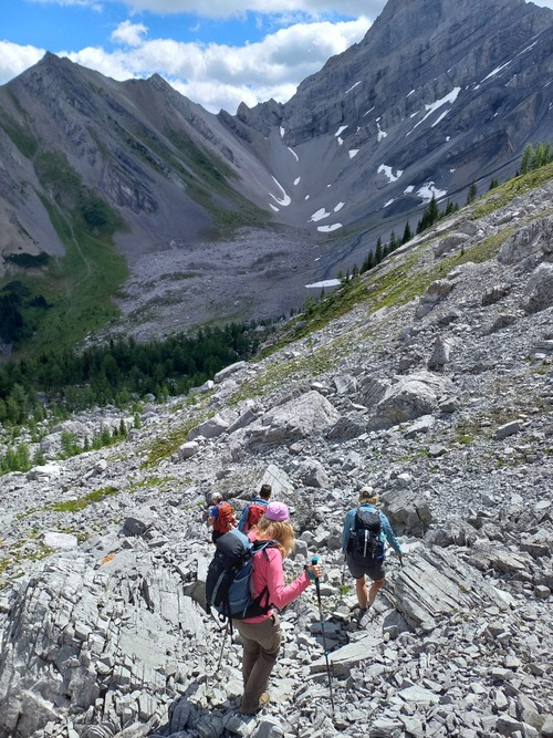 On the way down 