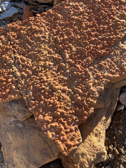 Interesting rock on Minnow Peak (outlier of Molar Mtn) - orange version