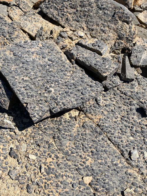 Interesting rock on Minnow Peak (outlier of Molar Mtn) - black version 