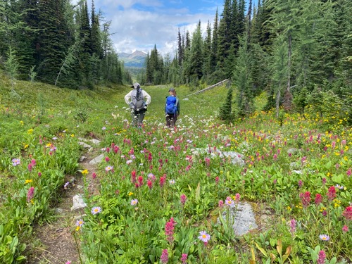 We were constantly stopping to look at flowers 