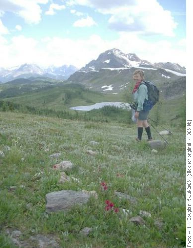 Ramparts & Monarch from Healy meadows
