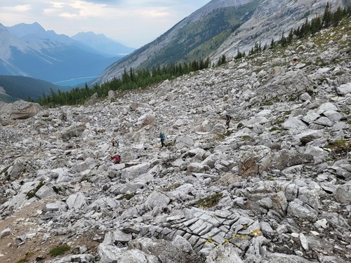 Picking through the rocks
