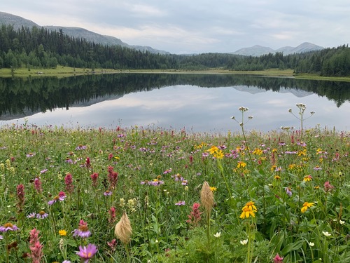 Late flowers and pristine reflections make an enjoyable approach