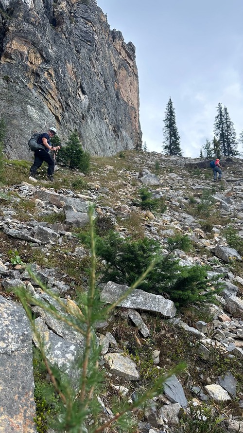 Heading up the 2nd gully. Don't go here, go further west to save awful side hilling later!