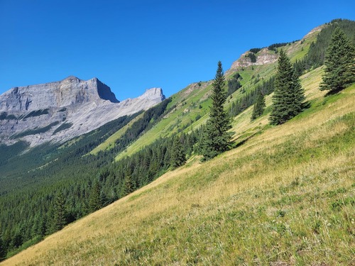 Approaching the ridge