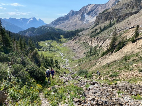 Ascending a beautiful green gully with stream and flowers