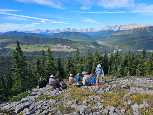 Rest stop with a view at the treeline