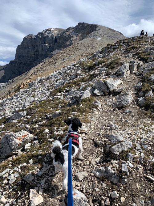 Final ascent to the top