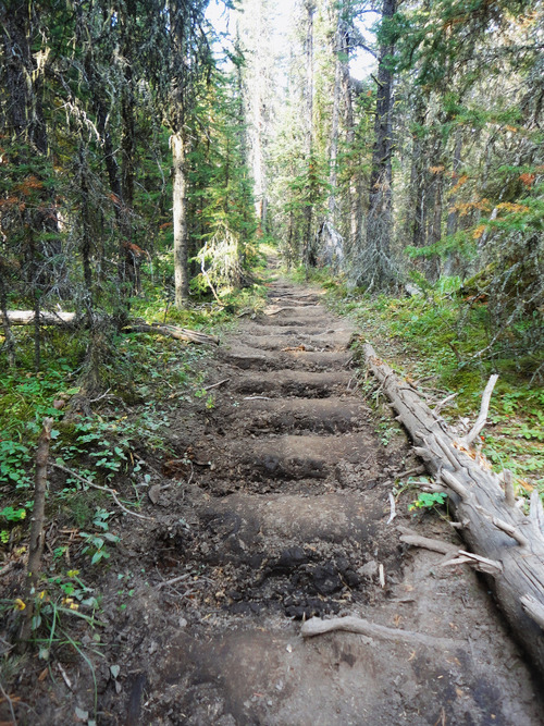 Junction Creek Trail is well used by horses. 
