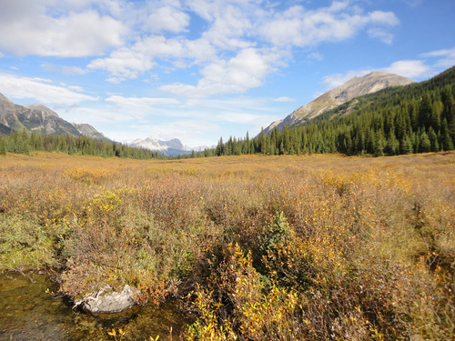 View north from south end of the Spray River Valley near Palliser Pass. 