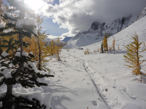 South View from near Wolverine Pass on the Rockwall BC on 03 October 2024