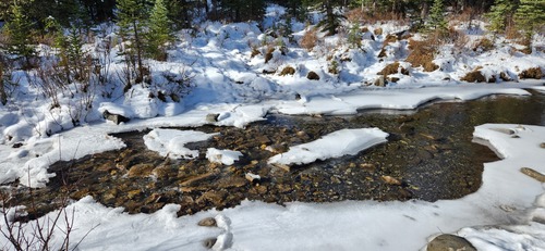 Ice starting to form on Gorge Creek