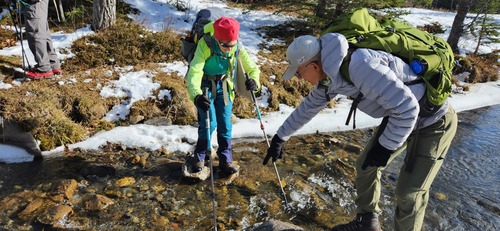 Creek Crossing