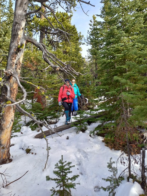 The snow made the bushwhack more fun than usual 