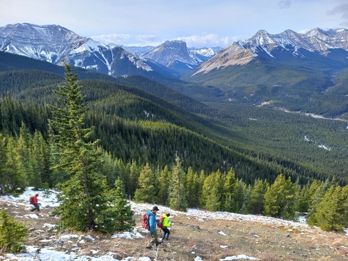 Downhill all the way 