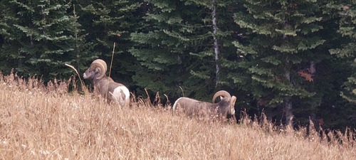Photo 41604