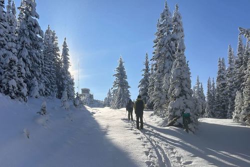 Approaching the Kananaskis Fire Lookout (and the sunshine)