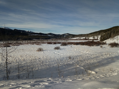 West Bragg Creek Cross-Country Ski Area: View west from Moose Loop