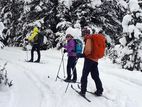 Damian, Jane, and Bob on the Elk Pass trail prior to it being roller-packed