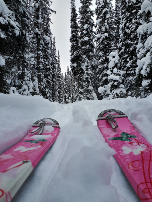 The Little Bs relishing all the fresh snow on Blueberry Hill