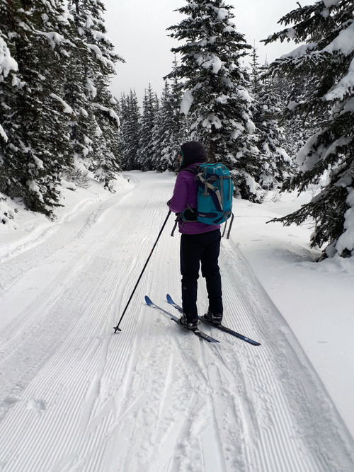 Jane on the freshly rolled Elk Pass trail